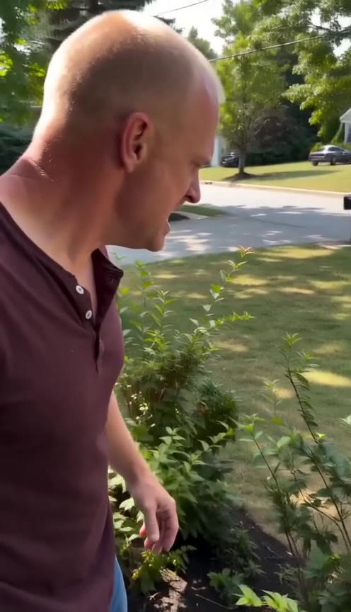 After Shoving an Elderly Mother off the Porch, a Wife's Dark Secret is Exposed