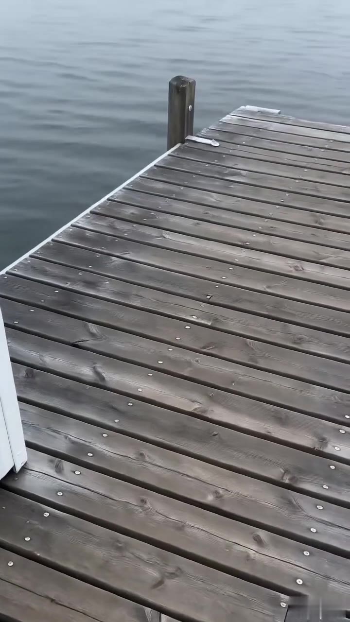 Bullies Cruelly Kicked an Old Man's Fishing Rod, Unaware of His Secret Identity