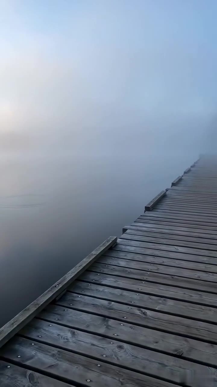 Bullies Kicked an Old Man's Fishing Rod, Unaware of His True Identity