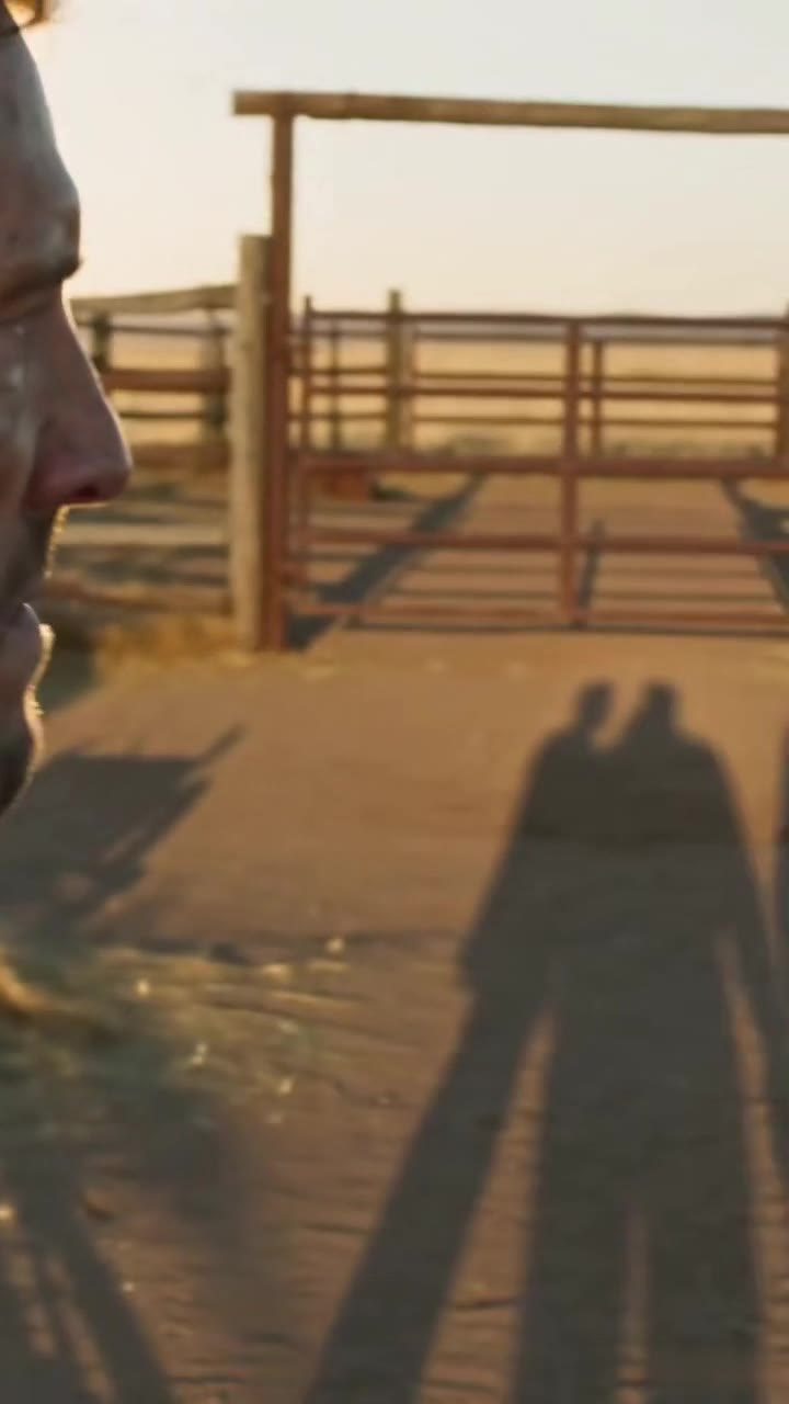 The Drifter Who Tamed Our Savage Guard Dog Revealed a Secret That Changed Everything