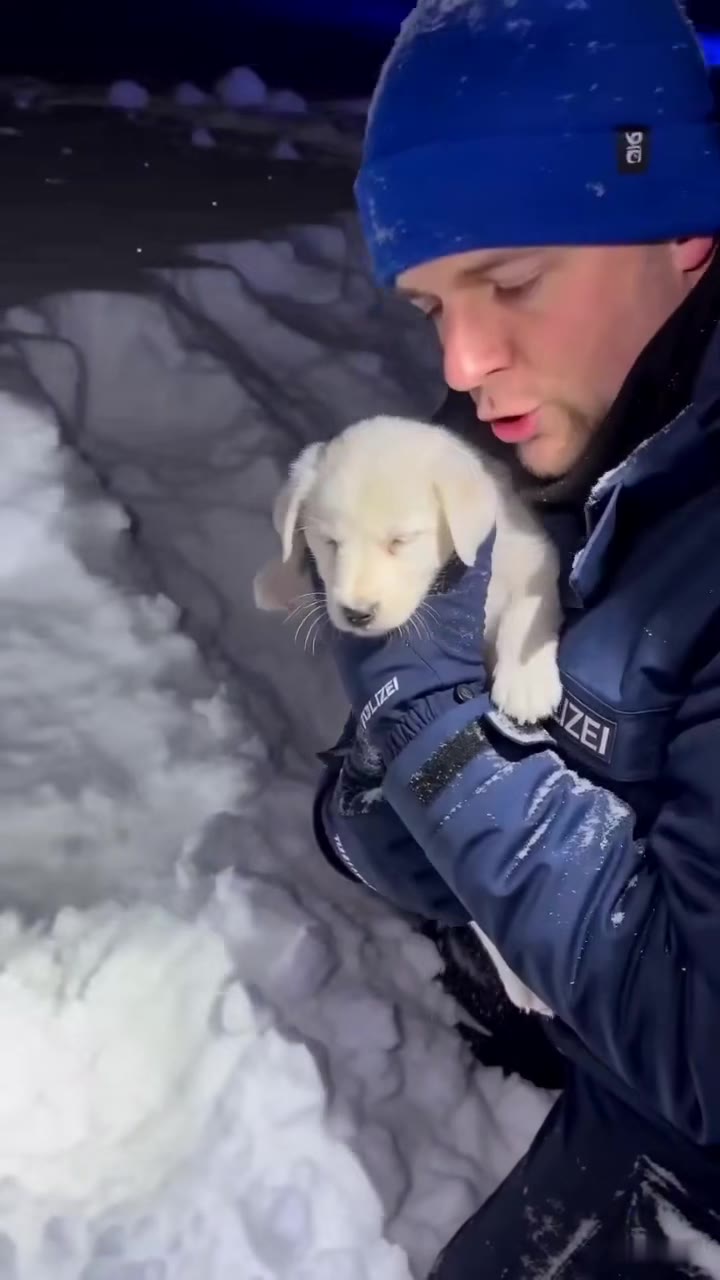 Ein Retter findet einen vergrabenen Welpen im Schnee – doch das wahre Wunder wartet darunter