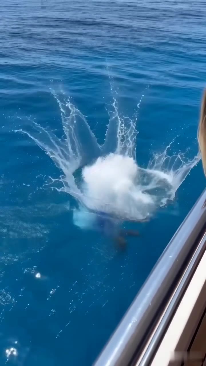 El empujón en el yate que desenterró la peor traición de mi prometido
