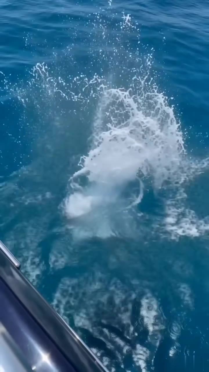 El empujón en el yate que reveló la traición más dolorosa de mi vida