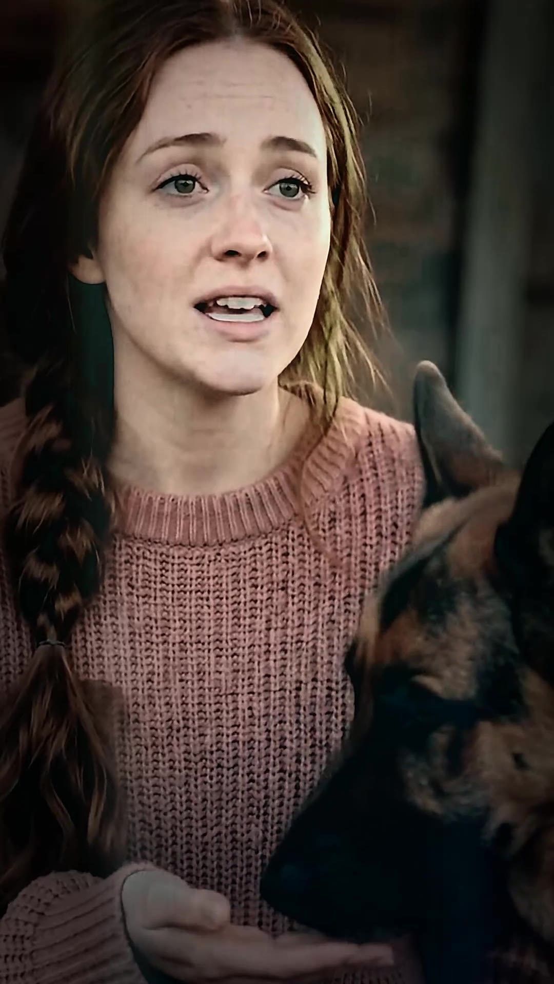 I Let a Pregnant Stranger Stay One Night—Then My Dog Did Something That Changed Everything
