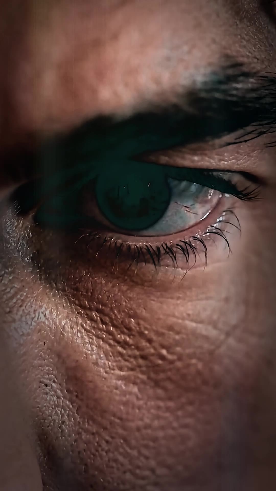My Father Erased Me at Dinner, But the Mafia Boss Saw Everything I Was Worth