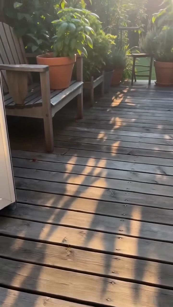 My Greedy Stepchildren Tried to Evict Me, Until I Stepped Out of the Pool