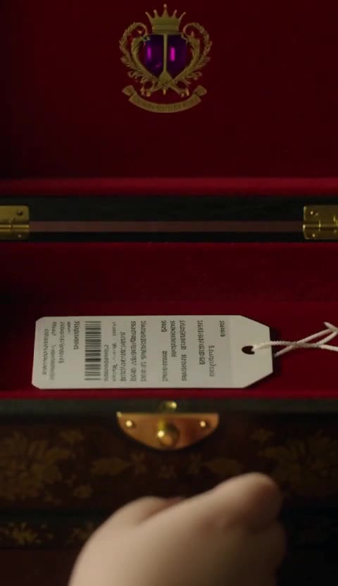 The Hidden Ruby Brooch Revealed the Truth About Our Orphaned Daughter