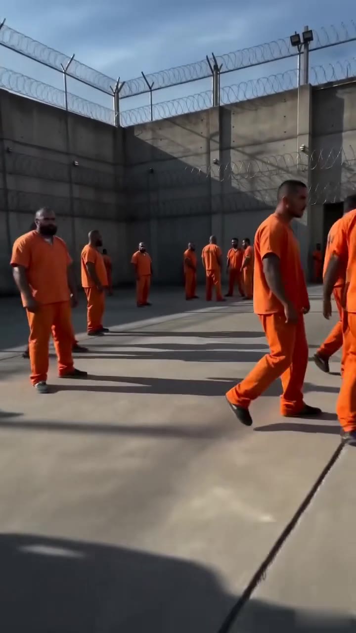 My Husband Framed Me to Rot in Prison, But My Sneakers Saved My Life