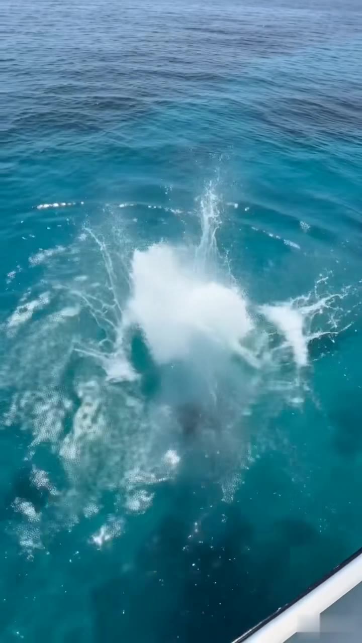 Le jeu mortel de mon fiancé : une plaisanterie sur notre yacht vire au cauchemar