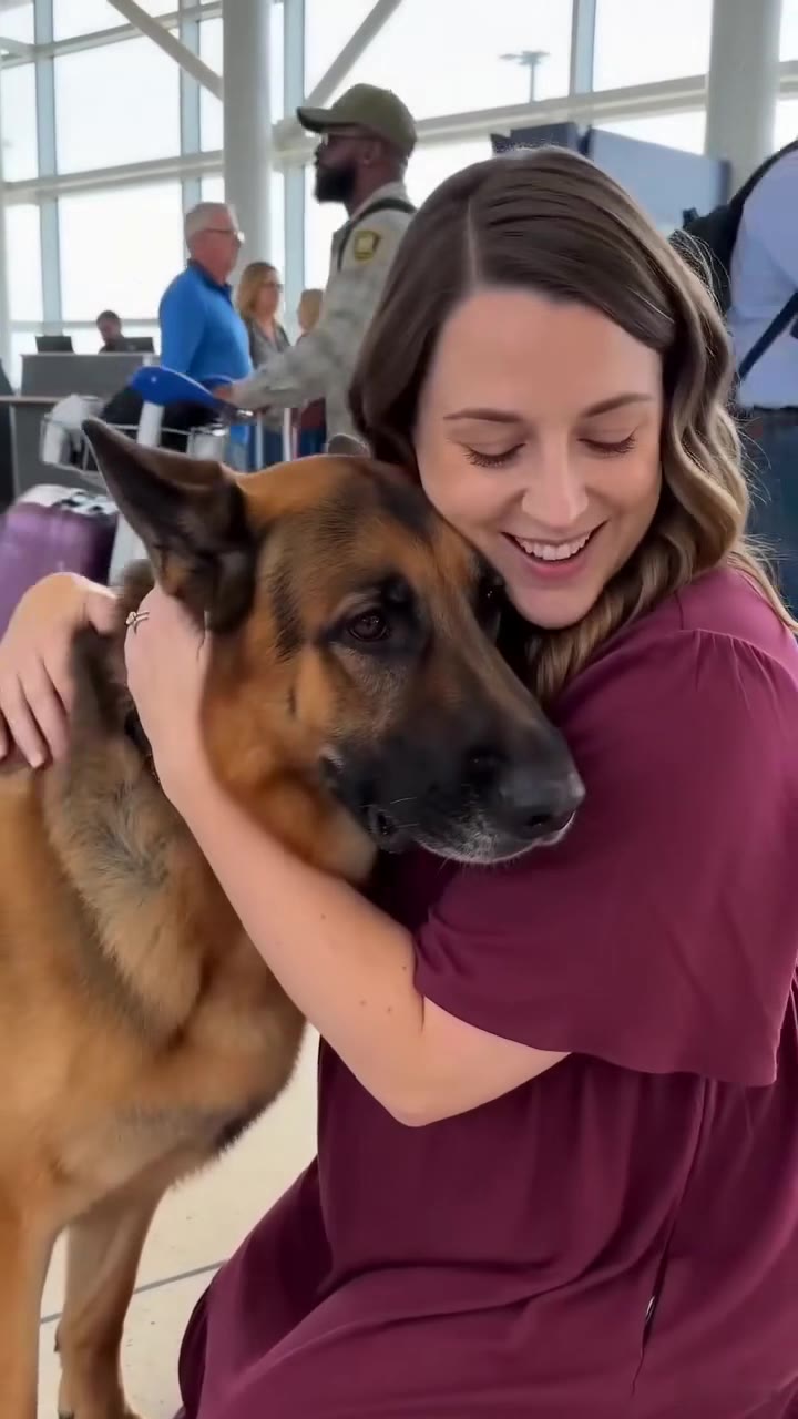 I Hugged a K9 Dog at the Airport, and His Handler Froze at the Reaction