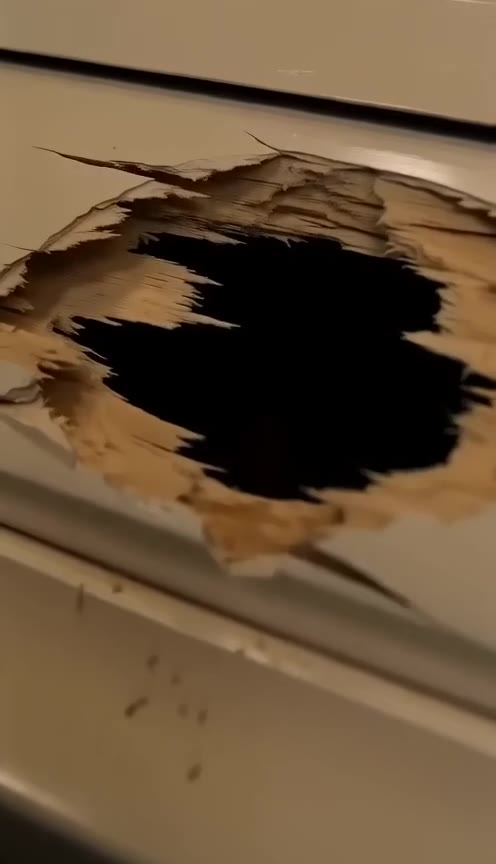 The Maid Smashed the Coffin with an Axe to Reveal a Terrifying Family Secret