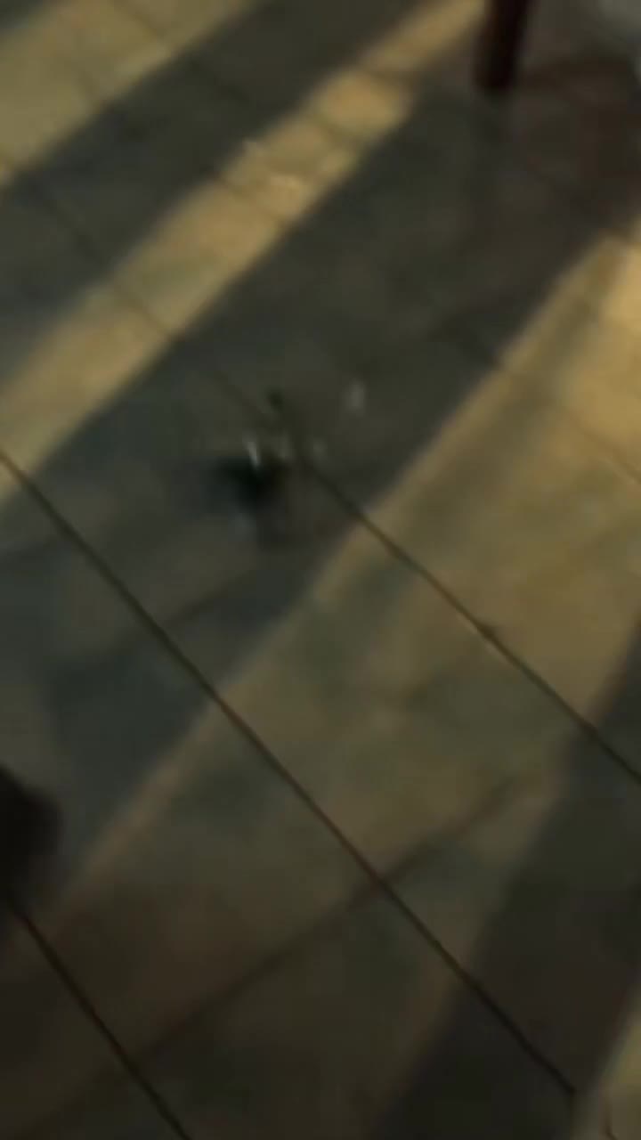 Mi esposo me atacó entre cajas de mudanza, sin saber quién vendría a rescatarme