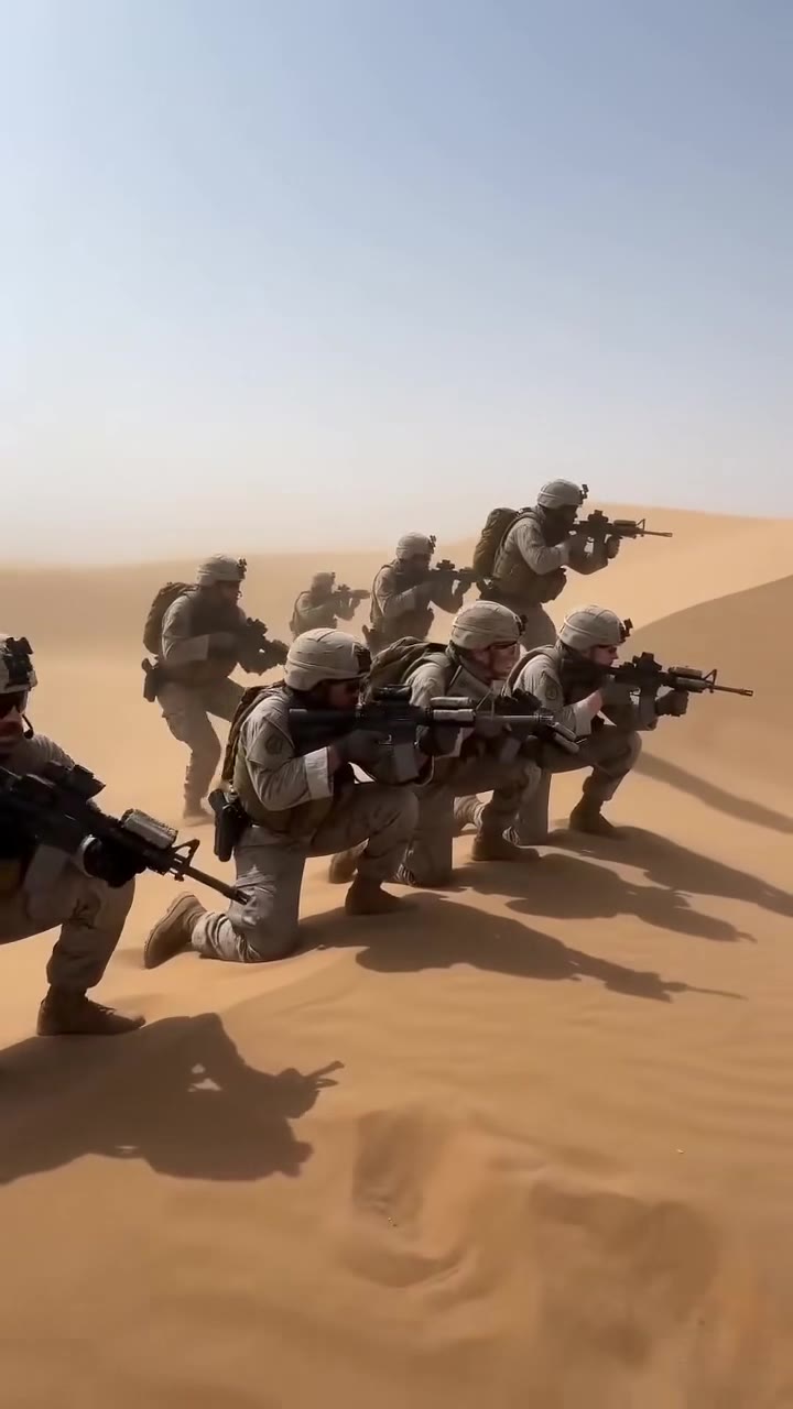 They Mocked My Sniper Skills and Demanded My Resignation—But One Bullet Changed Everything