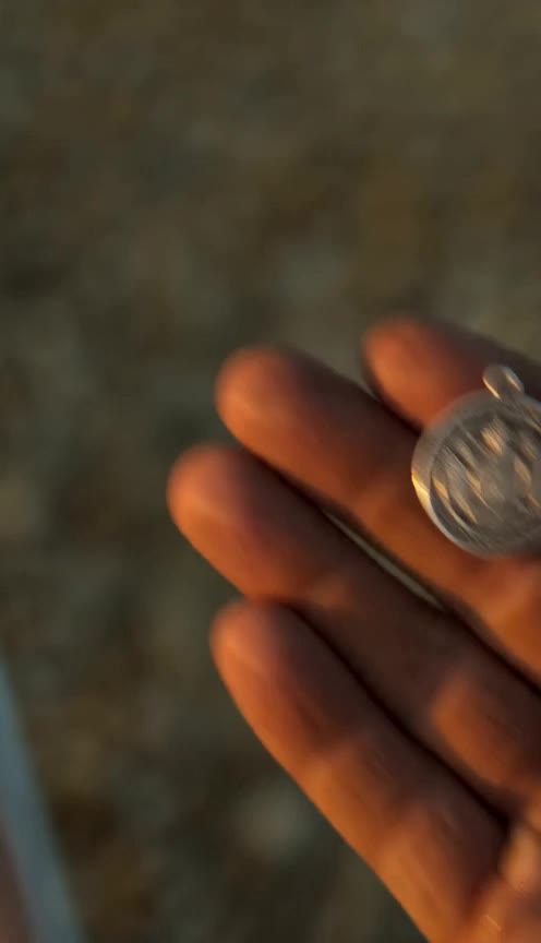 My Father Banished the Boy Who Healed Me Until a Medallion Exposed the Truth