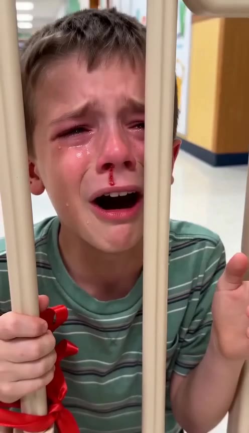 My Son Wept at the Daycare Gate, Begging Me to Save His Missing Sister