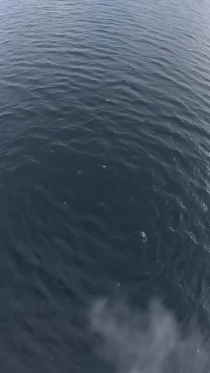My Stepchildren Pushed Me Off Our Yacht, But the Ocean Kept My Secret