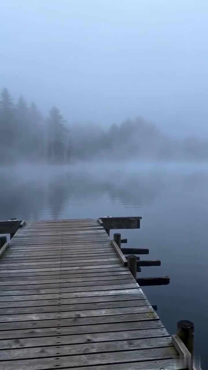 They Mocked A Quiet Old Man On A Dock, Unaware Of His Hidden Identity