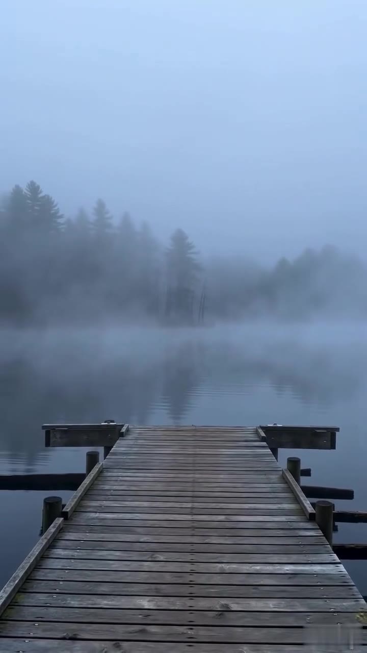 They Mocked A Quiet Old Man On A Dock, Unaware Of His Hidden Identity