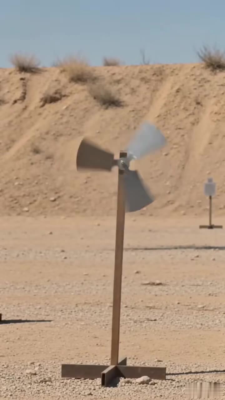 They Mocked Her at the Firing Range, But Her Seven Shots Exposed a Family Conspiracy