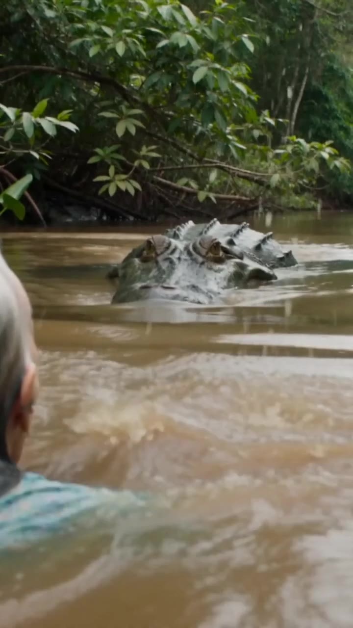 She Pushed Her Mother-in-Law to the Crocodiles but Forgot One Critical Detail