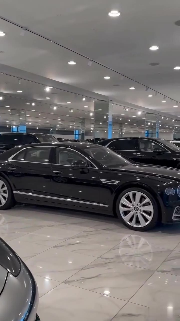 A Snobbish Car Salesman Shoved Me, but My Butler Revealed My Real Identity