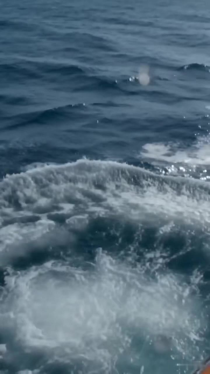 My Stepson Left Me to Drown in the Ocean for My Husband's Fortune