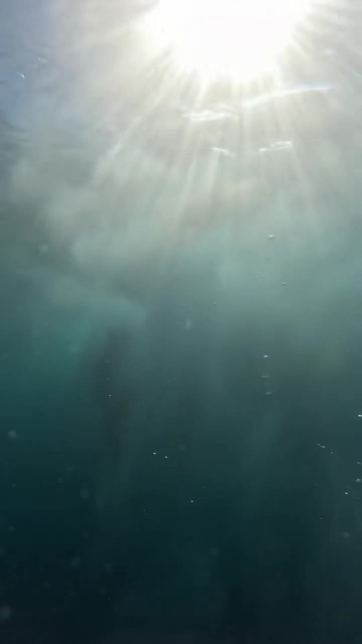 After My Stepson Pushed Me Into The Ocean, I Discovered His Darkest Secret