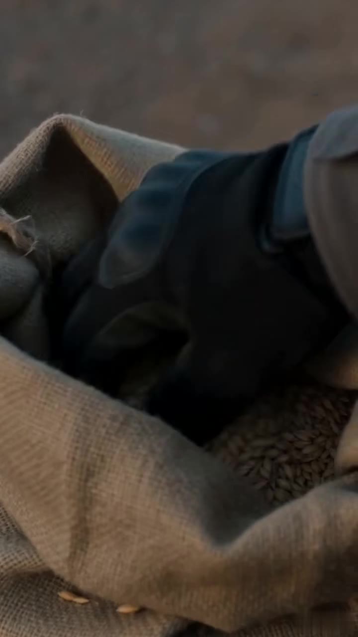 The Suspicious Border Guard Who Ripped Open an Old Woman's Barley Sack