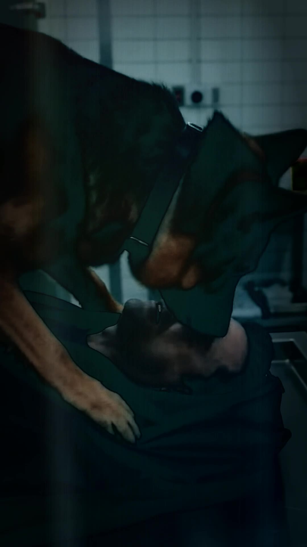 The Dog Knew He Was Alive Before the Doctors Did — Then He Opened His Eyes