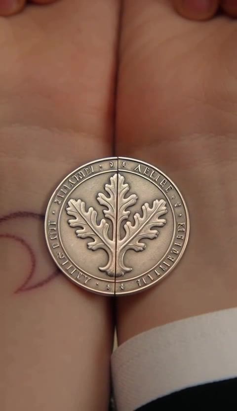 The Gala Heir: A Silver Coin Reveals the Twin Son They Lost at Birth