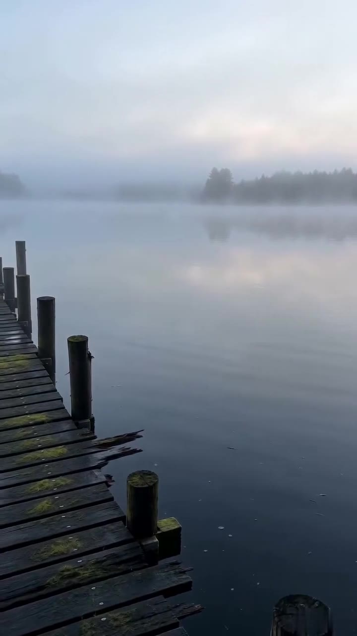 Three Bullies Cornered a Quiet Old Man on a Pier, Unaware of His Real Identity