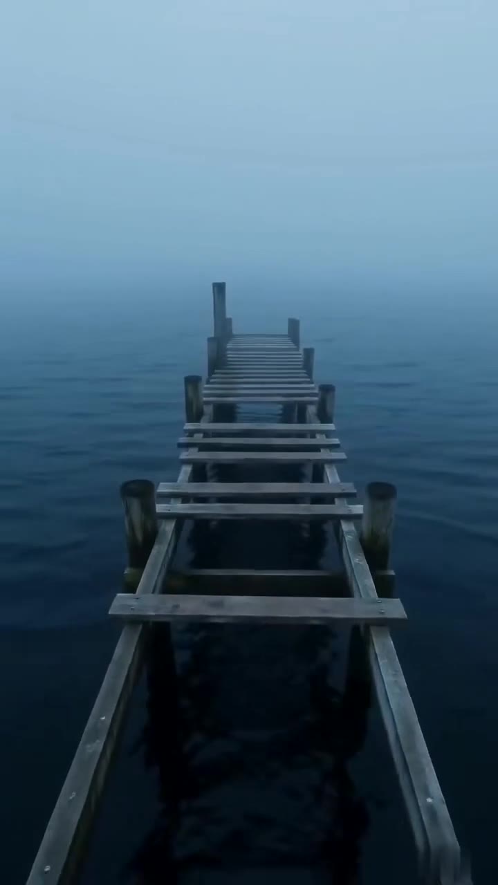 Three Bullies Forced a Quiet Fisherman Off His Pier, Unaware of His Real Power