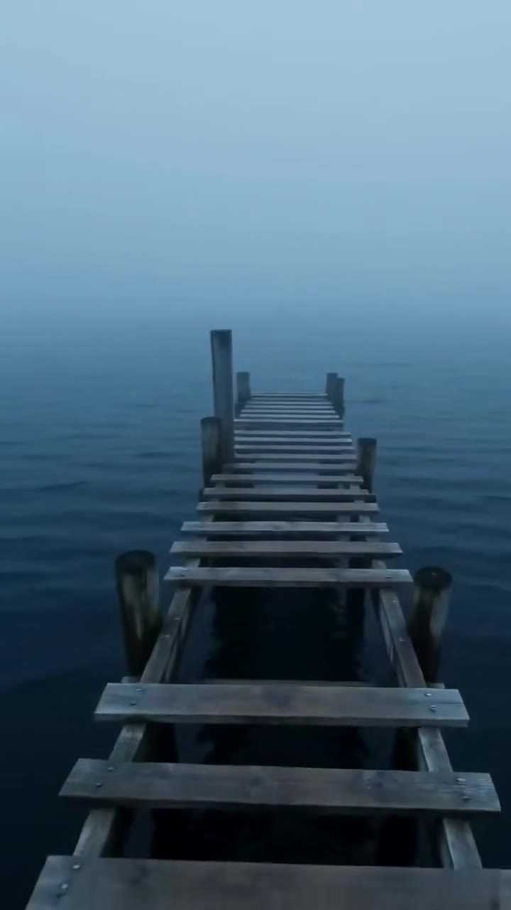Three Bullies Forced a Quiet Fisherman Off His Pier, Unaware of His Real Power